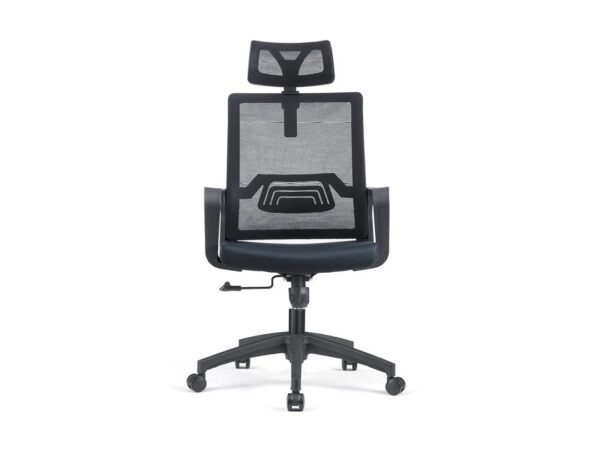 ErgoFlex Supreme: The Chair for Maximum Comfort