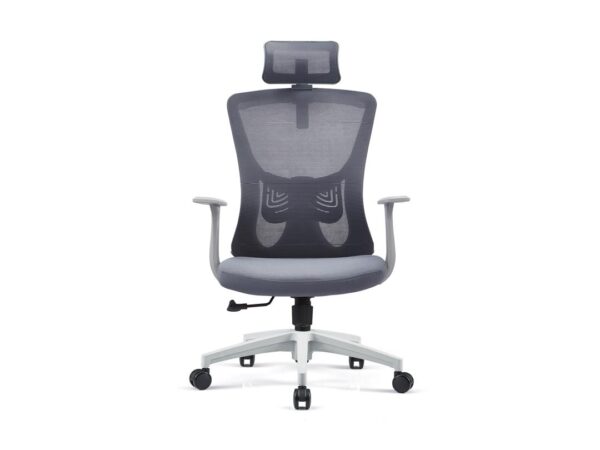 High-Back Mesh Office Chair with Adjustable Headrest